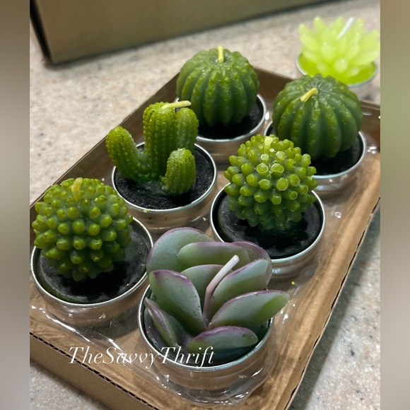 None Other - Miniature Candles 🌵 Set of 7 Miniature Succulent Candles